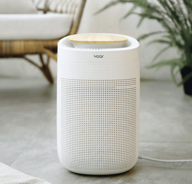 제습기 추천 순위 TOP 5(25년 5월) 네이버, 쿠팡 판매 랭킹 비교