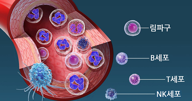 T cell - NK cell