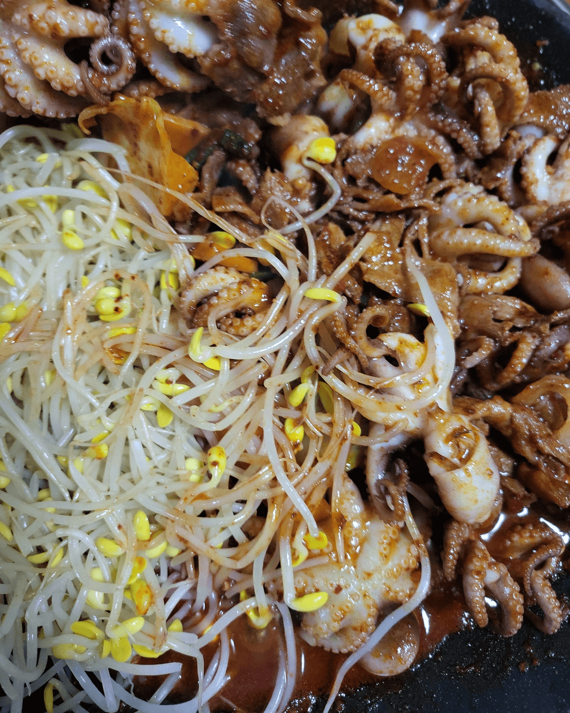 낙지 볶음 근접
