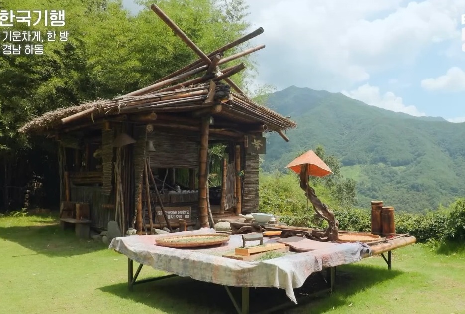 하동-오죽차-오죽발효차-주해수-오죽헌