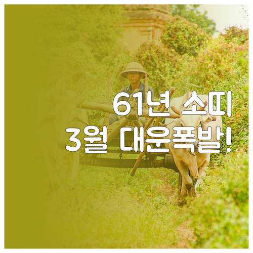 2026년 3월 1961년생 소띠 운..