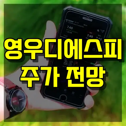 영우디에스피 주가 전망