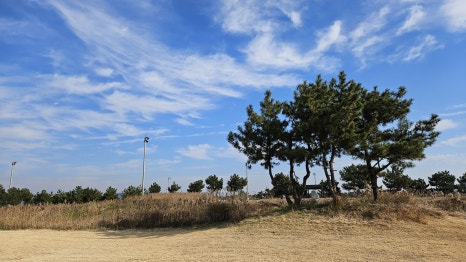 골프장 경험담 군산 군산cc 한국 골프 여행의 랜드마크 방대한 코스&amp;#44; 물을 적극 활용한 설계&amp;#44; 프로 대회급 코스