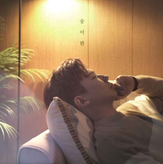 송이한-앨범-사진