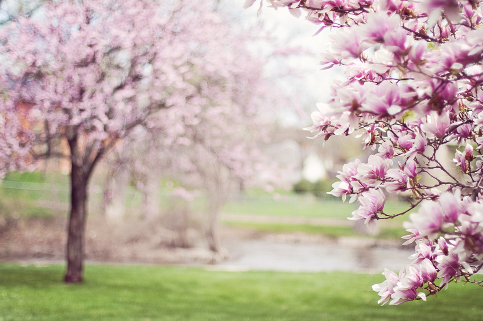 공기청정기와 마스크, 어떤 게 효과적일까? (알러지 예방 비교 분석) 관련 사진