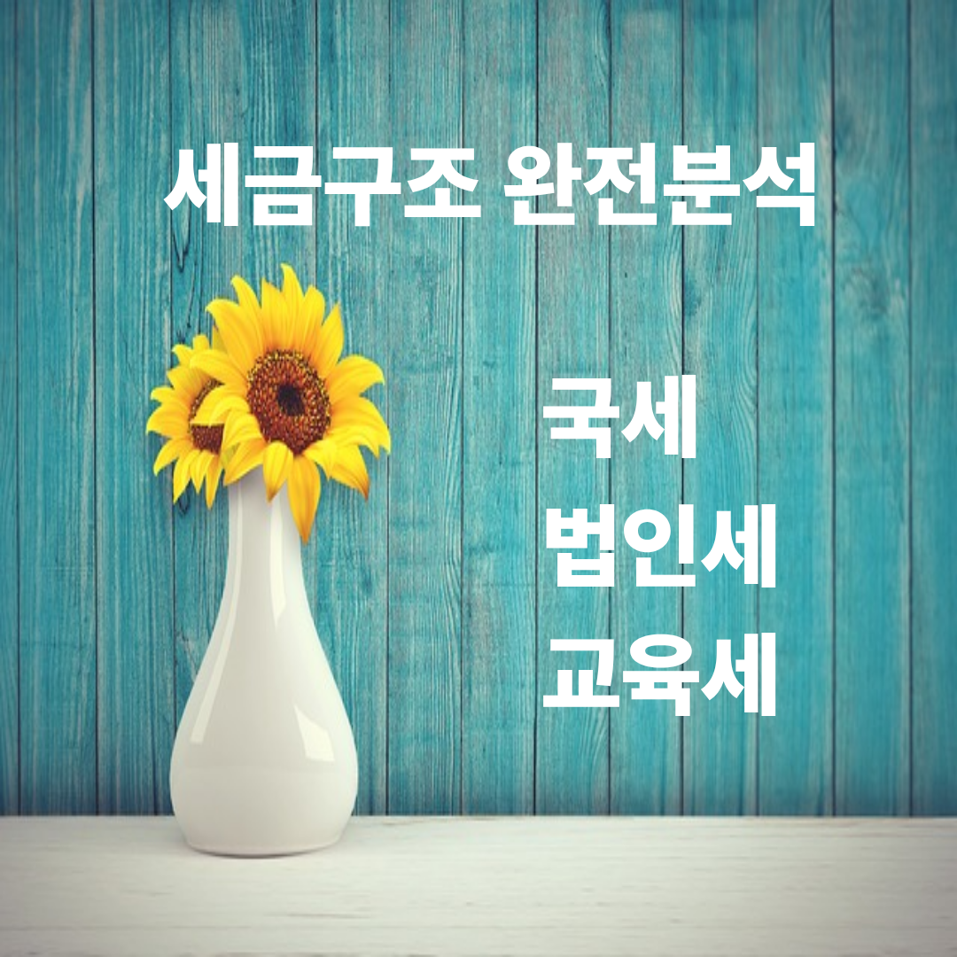 세금구조 완전분석(국세, 법인세, 교육세)