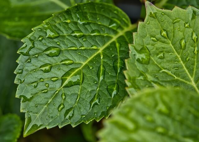 미세먼지 예보 실시간 농도