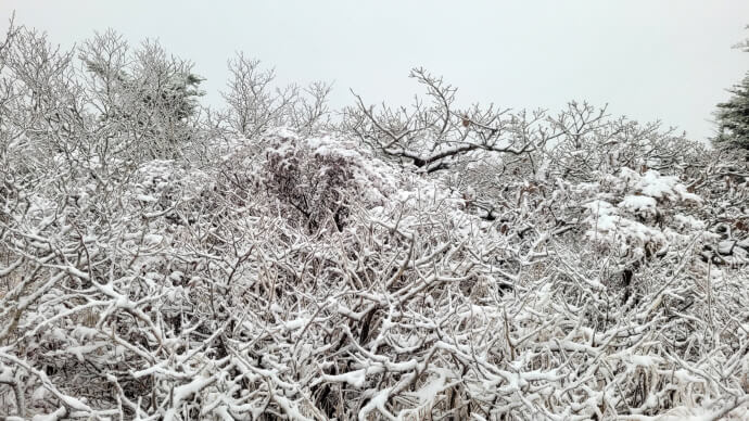 설악산 첫눈