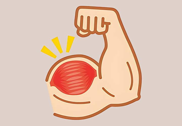 성장하는-근육의-모습