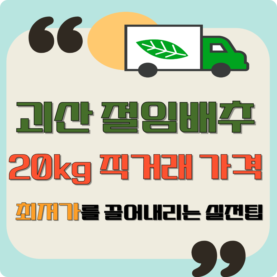 괴산 절임배추 20kg 직거래 가격 이미지