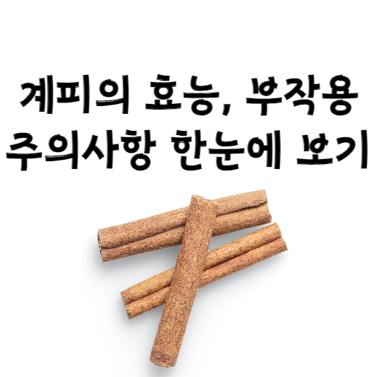 계피의 효능과 부작용, 주의사항