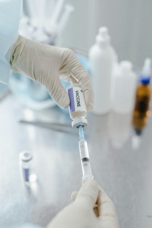 폐렴 예방접종 가격 비용 횟수 총정리