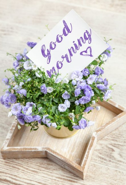 엑스니힐로 매장 어디에 있나요 2025년 위치 총정리