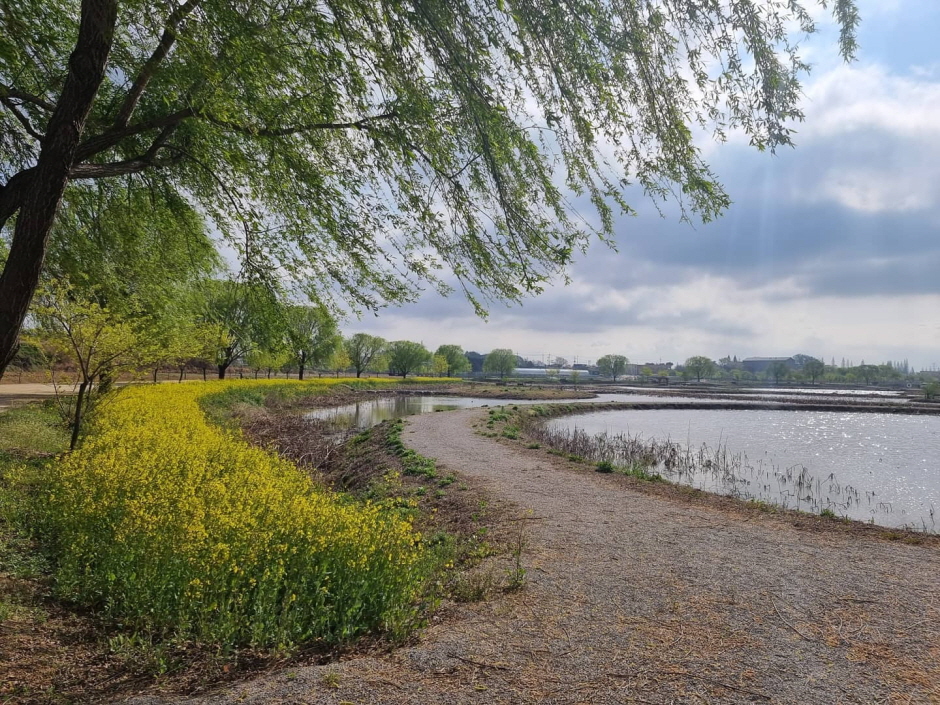 당진 가볼만한곳 베스트10