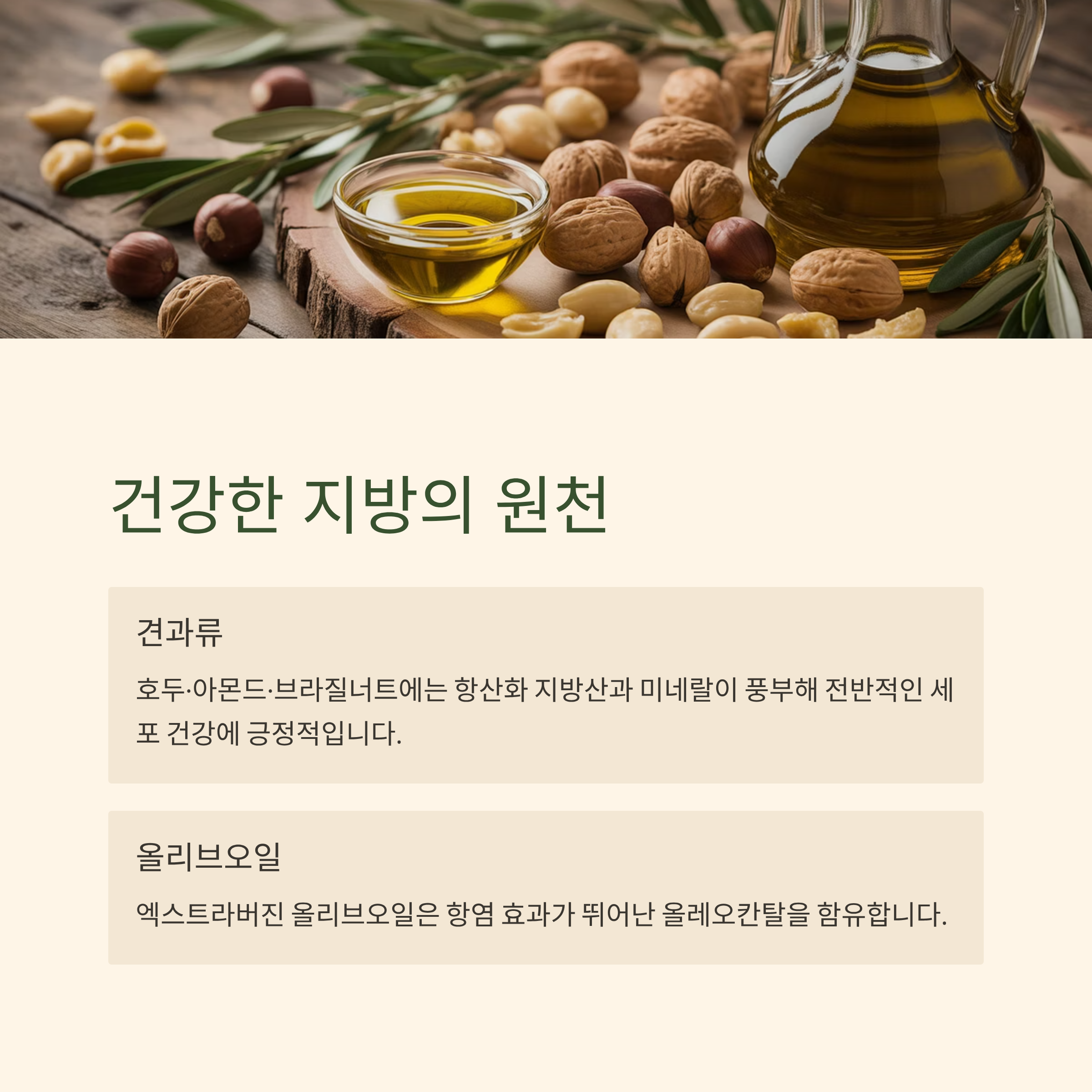 건강한 지방의 원천