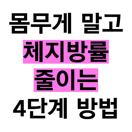 몸무게 말고 체지방률 줄이는 방법 4단계