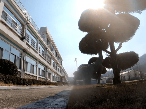 단층-건물외부-나무