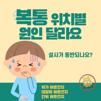 배를 콕콕 찌르는 통증의 8가지 원인 하는법 알아보기로 정리_7