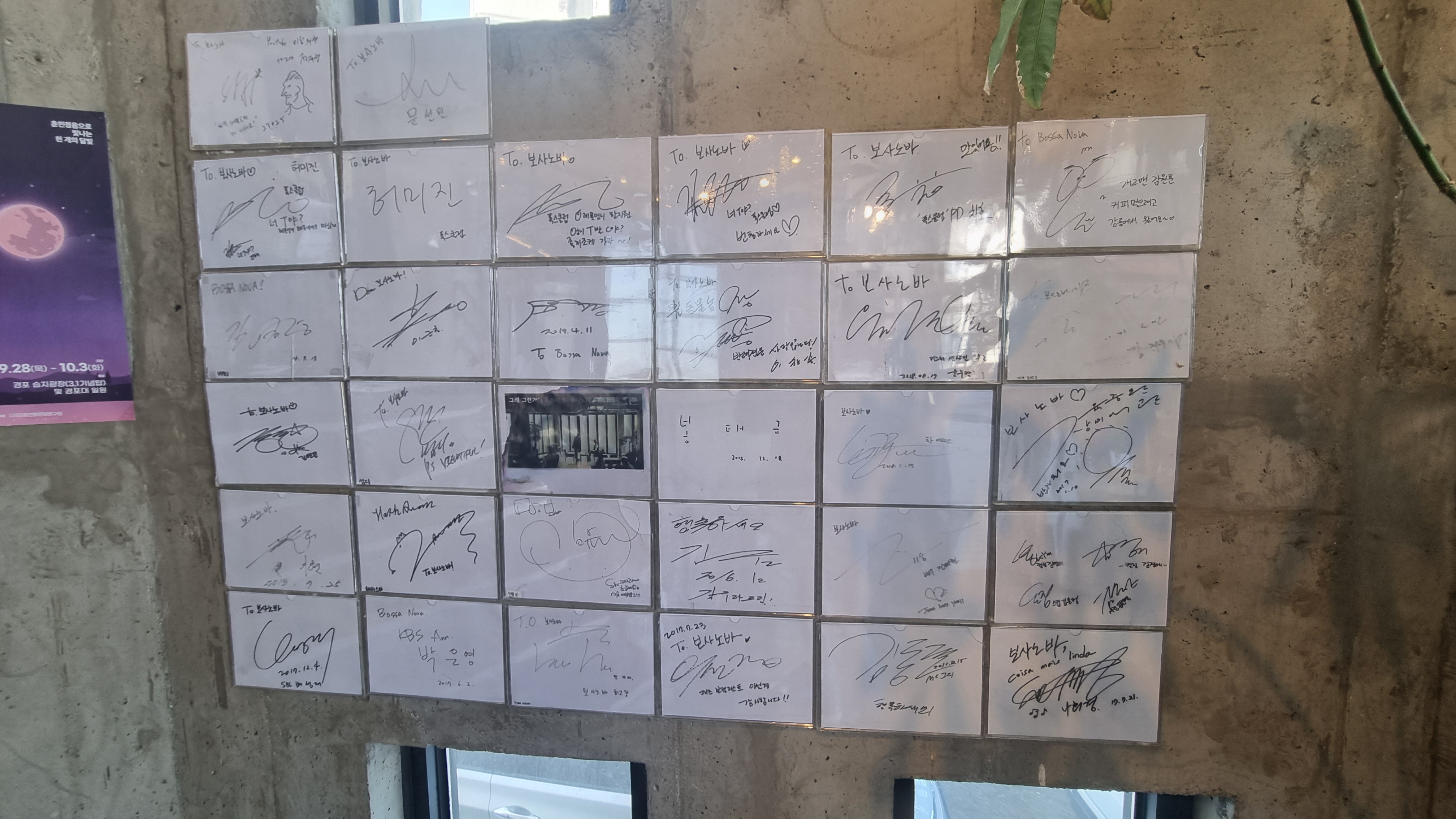 강릉 보사노바 - 카페 거리 카페 추천 애견 카페 안목 해변 가을 여행