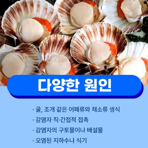노로바이러스 원인