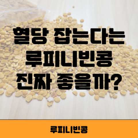 루피니빈 썸네일