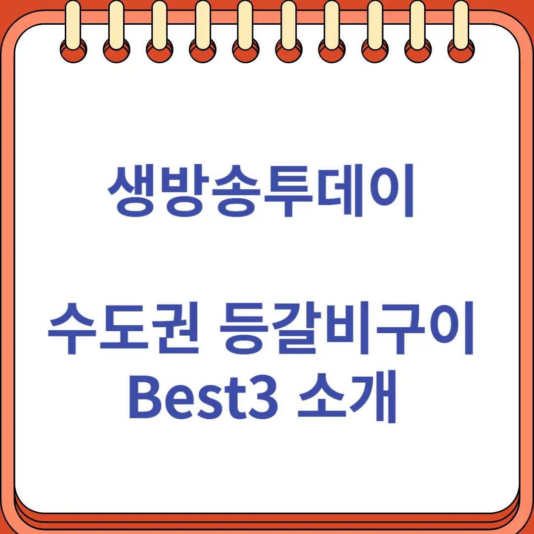 생방송투데이 수도권 등갈비구이 Best3 소개