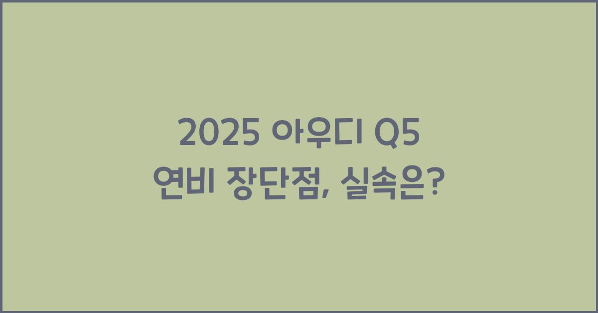 2025 아우디 Q5 연비 장단점