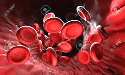 혈핵학-HLA 유전자형 특이적 맞춤 수혈(혈액 의학의 정밀화 시대)