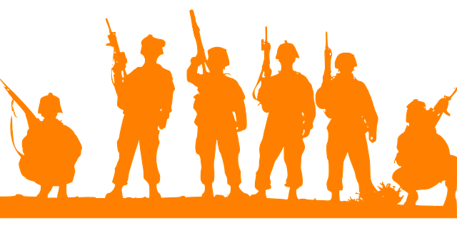 군인 계급별 정년