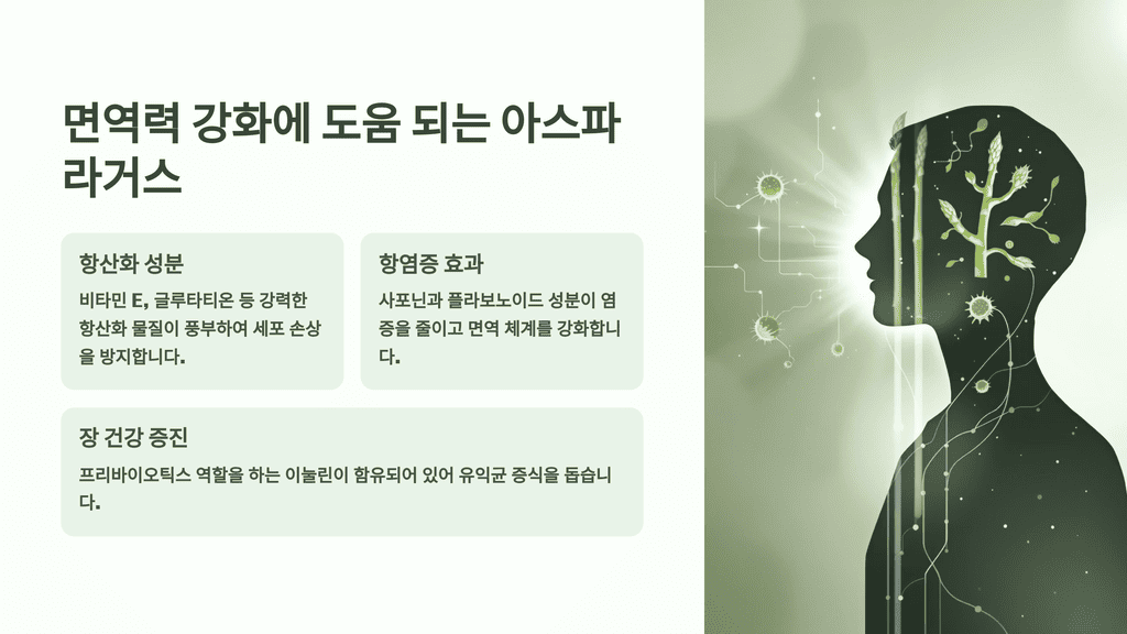 면역력 강화에 도움 되는 아스파라거스