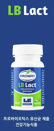 불가리아 유산균