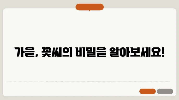 가을 꽃씨