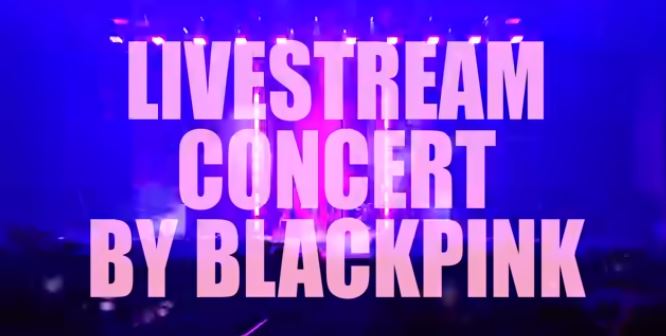 블핑 콘서트 제니