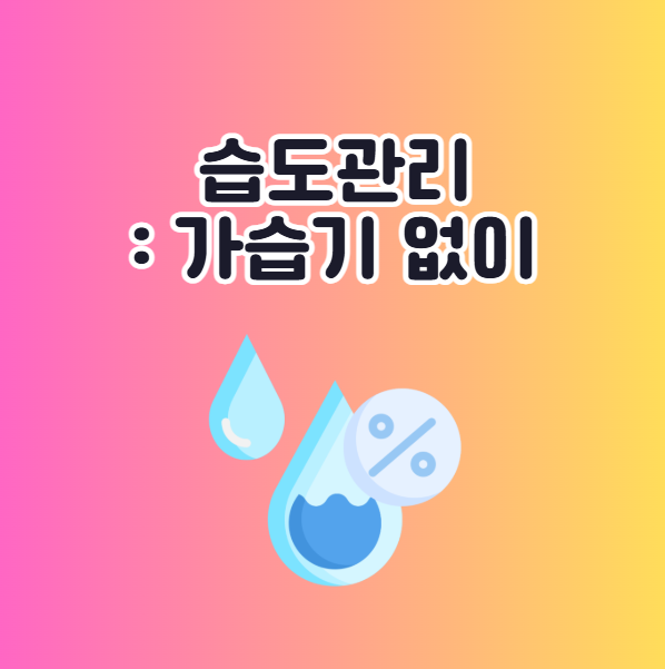 실내 적정 습도 관리 가습기 없이