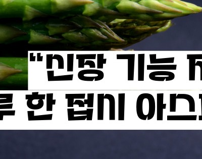 아스파라거스 효능