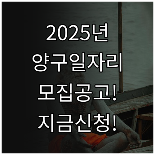 2025년 양구군 노인일자리 참여 자..