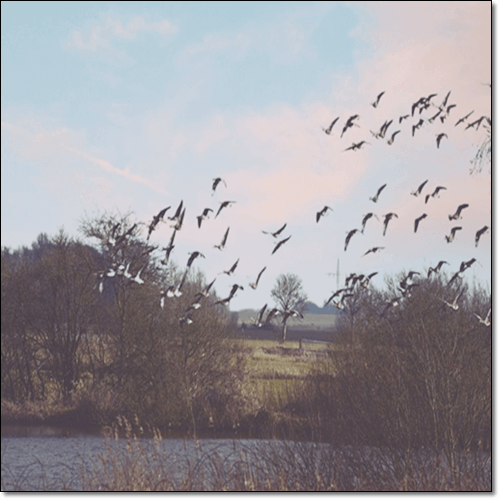 옥타코사놀 효능 및 특성 지구력 향상