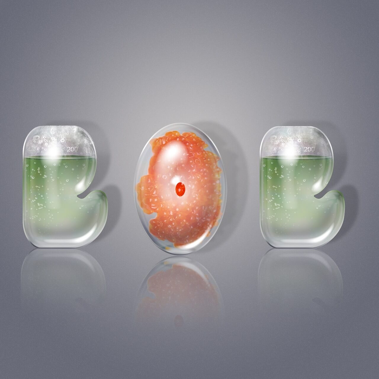 실사에 가까운 일러스트의 매력