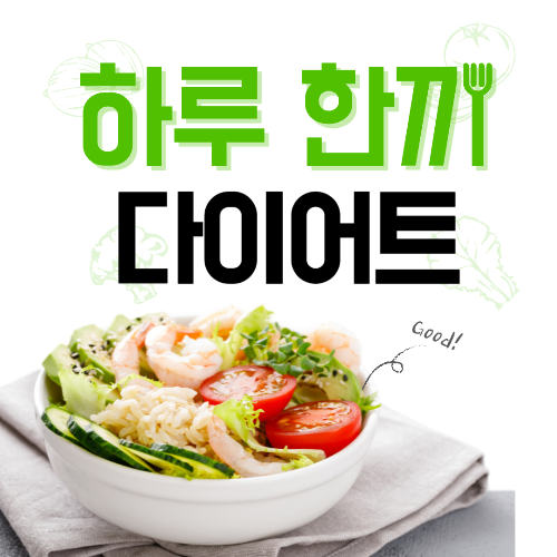 하루한끼다이어트