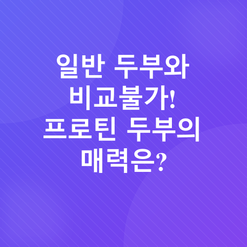 프로틴두부 스테이크_1