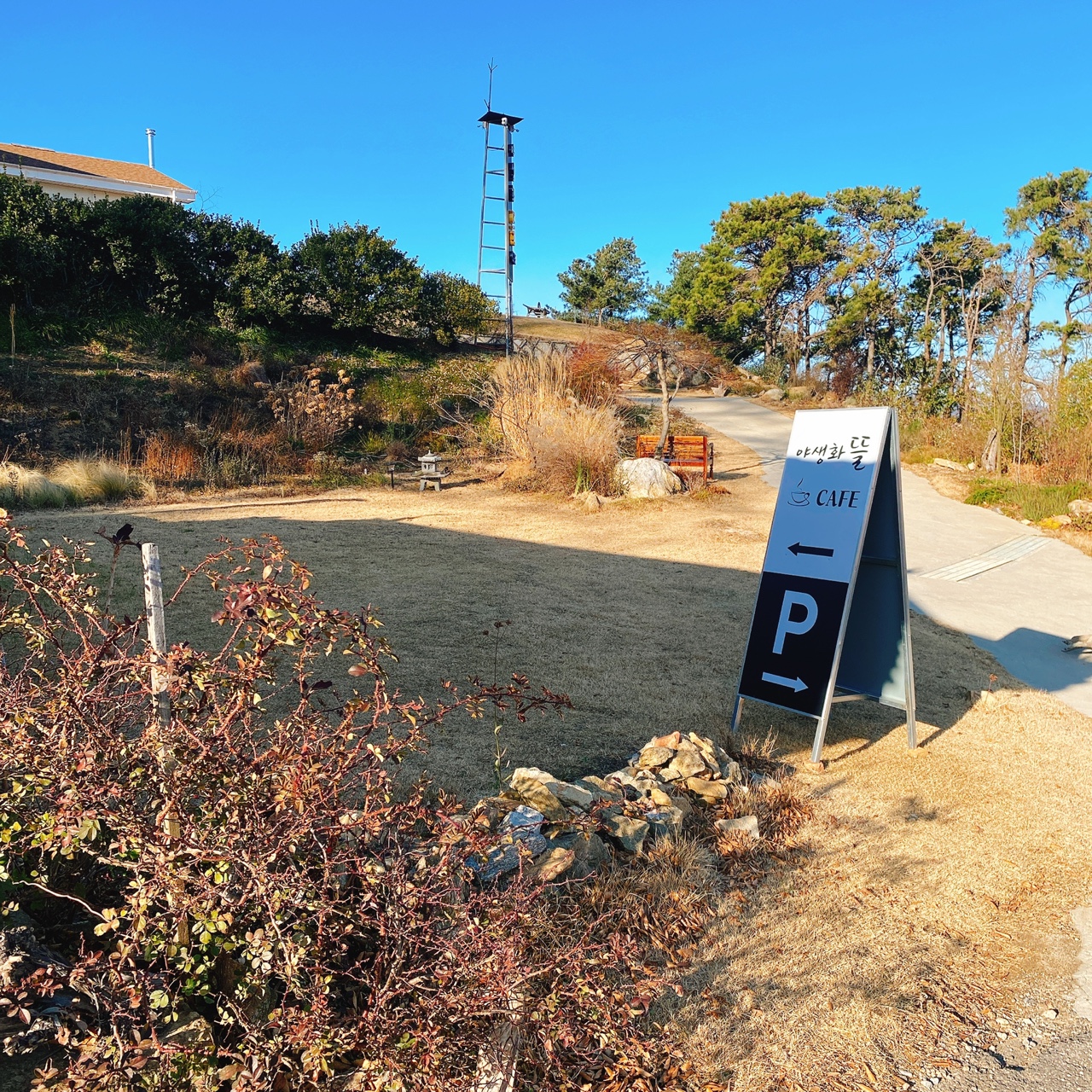 강화도 야생화 뜰 카페