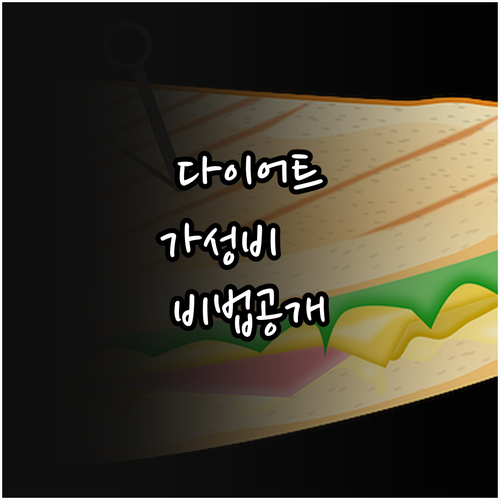 가성비 좋은 다이어트 도시락 고르는 ..