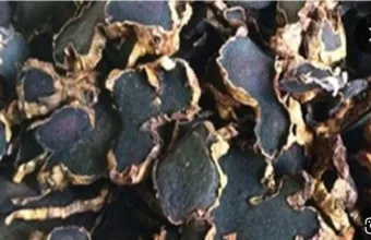 흑생강 효능 슈퍼푸드 칼로리 권장량_6