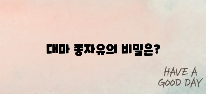 대마 종자유 효과의 특별함