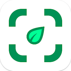 식물이름 찾기 어플 무료, 식물인식 카메라 사진으로 식물식별 하기