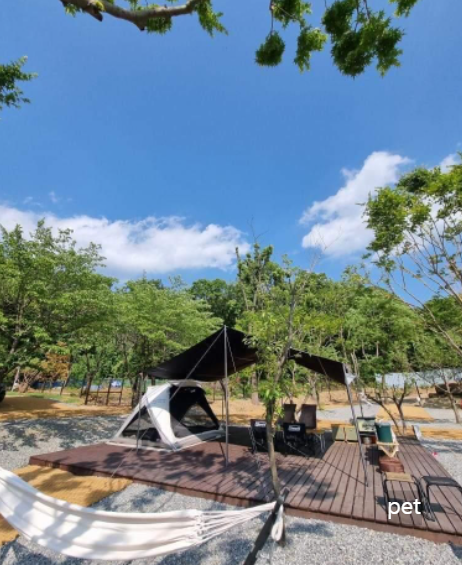 경기-하남-따봄캠핑장-예약-방법-애견-동반-가격-주소-시간-후기