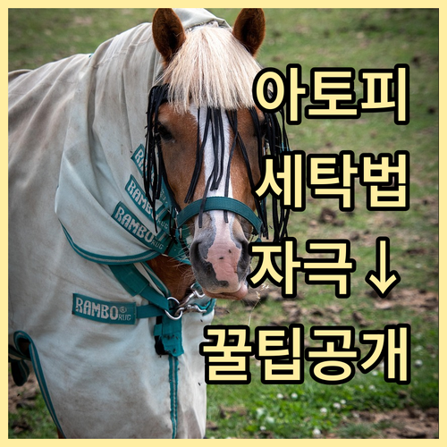 아토피 피부를 위한 세탁 노하우: 자..