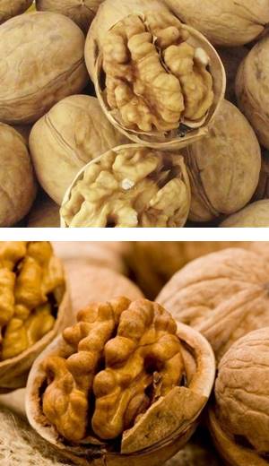 호두가_담겨있는_그릇