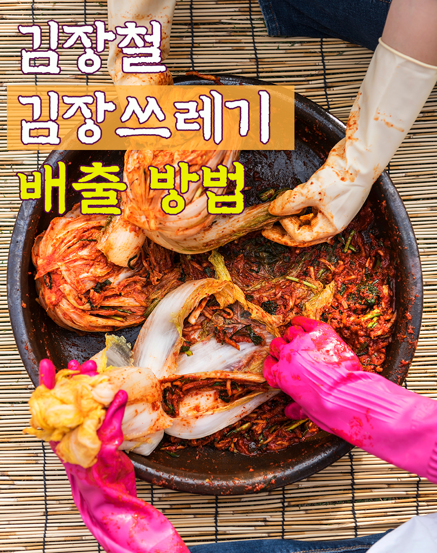 김장철 쓰레기 배출 음식물,일반,재활용