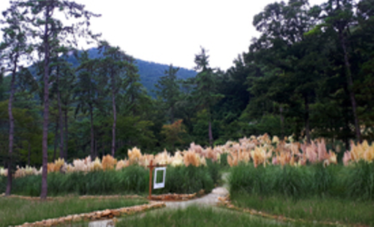 해남 포레스트 수목원